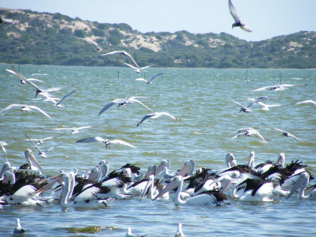 Coorong Waterfront Retreat Villa Meningie ภายนอก รูปภาพ
