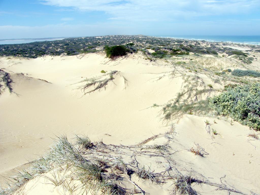 Coorong Waterfront Retreat Villa Meningie ภายนอก รูปภาพ